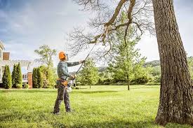 Best Hazardous Tree Removal  in Hopwood, PA